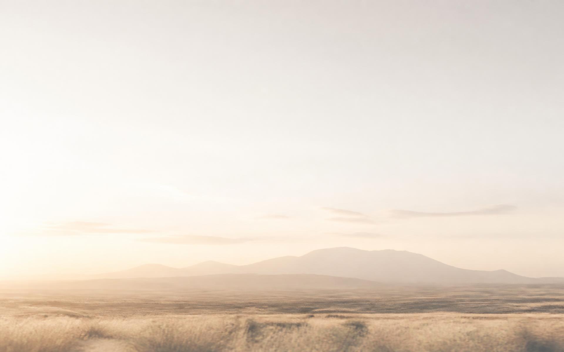 Soft Nevada high-desert landscape at dawn with distant mountains and open sky